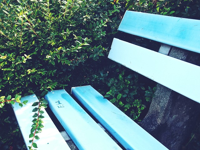 仅为球迷们 仅为球迷们