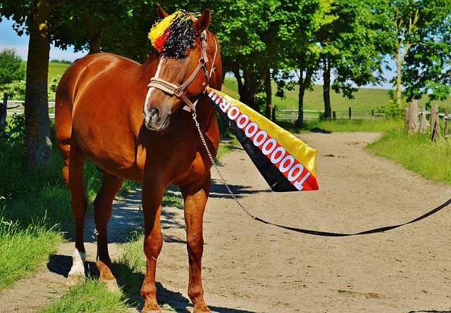 协同作战和 协同作战和