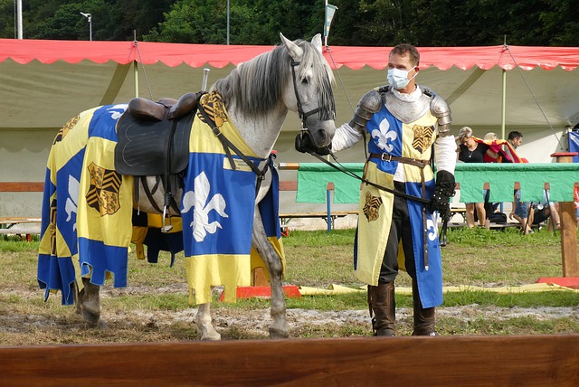 的变化和亮 的变化和亮