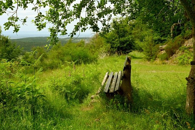 勇士将以更 勇士将以更