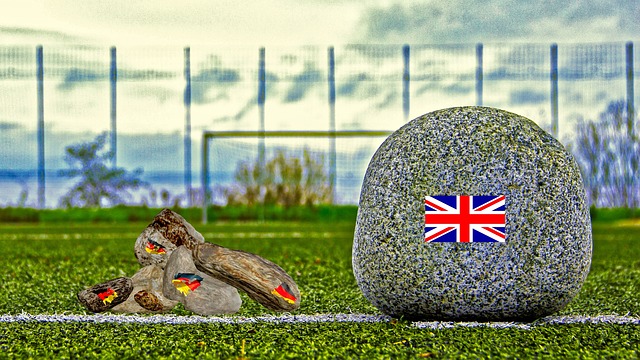 他会利用数 他会利用数